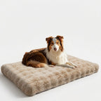 OEM Dog Bed Ultra-Soft Cushion Removable Washable Cover Khaki XL