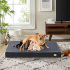 OEM Orthopedic Dog Bed Waterproof Lining Non-Slip Base Medium