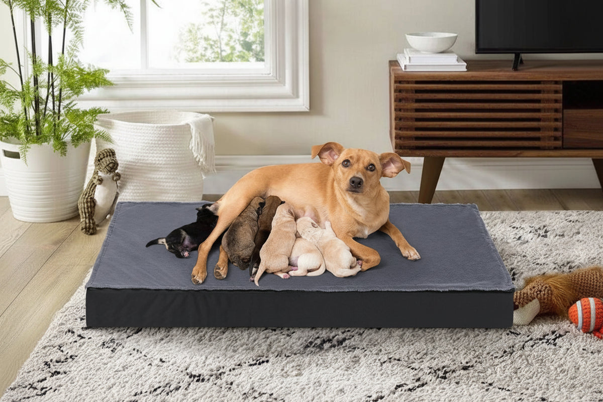 OEM Orthopedic Dog Bed Waterproof Lining Non-Slip Base Large