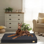 OEM Orthopedic Dog Bed Waterproof Lining Non-Slip Base Medium