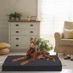 OEM Orthopedic Dog Bed Waterproof Lining Non-Slip Base Large